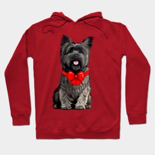 Cairn Terrier Dressed for the Holidays Hoodie